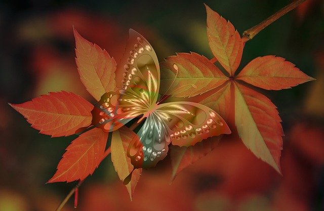 transparent butterfly on a leaf as a symbol of cherished memories