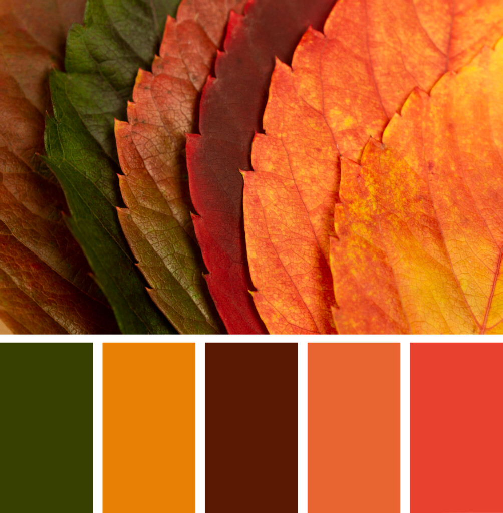 season of tranquil colors
