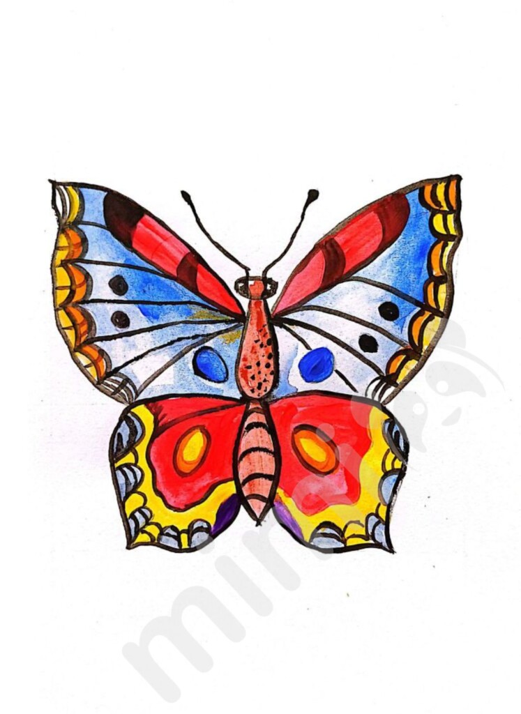 Butterfly drawing tutorial for adults 4