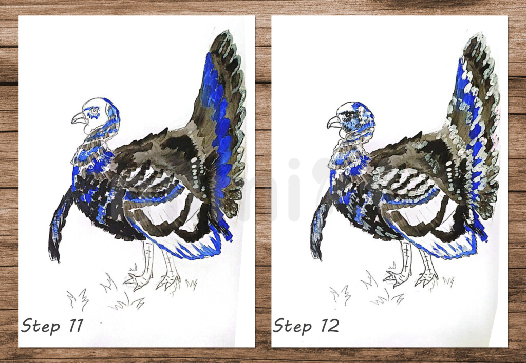 collage realistic drawing turkey step 11 and 12