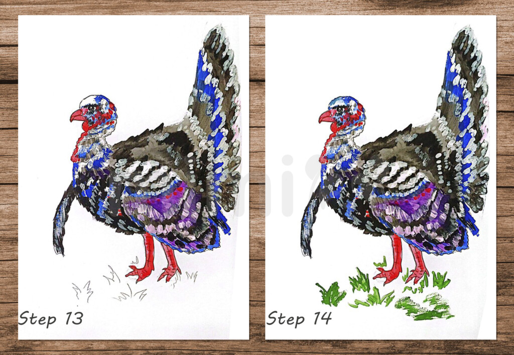 collage realistic drawing turkey step 13 and 14