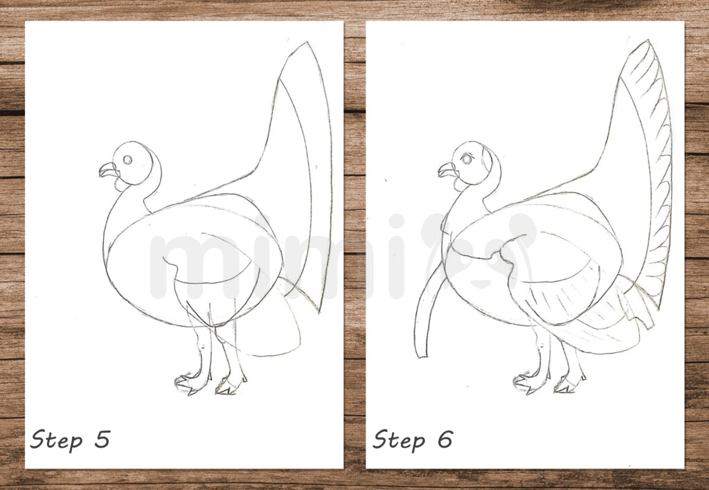 collage realistic drawing turkey step 5 and 6