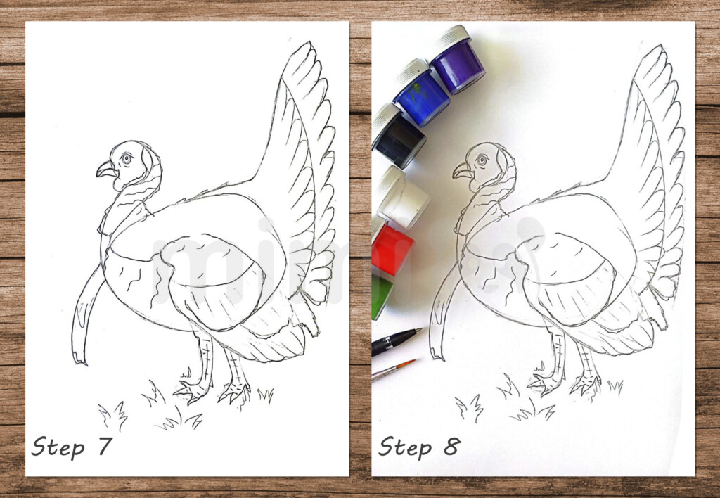collage realistic drawing turkey step 7 and 8
