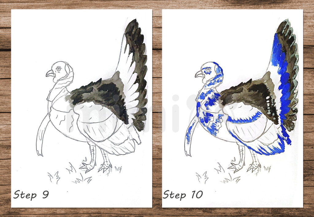collage realistic drawing turkey step 9 and 10