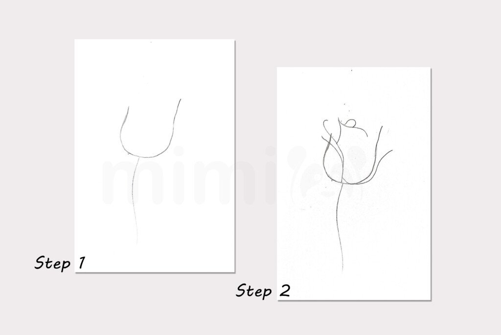 drawing bud of rose collage step 1 and 2