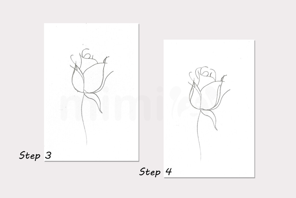 drawing bud of rose collage step 3 and 4