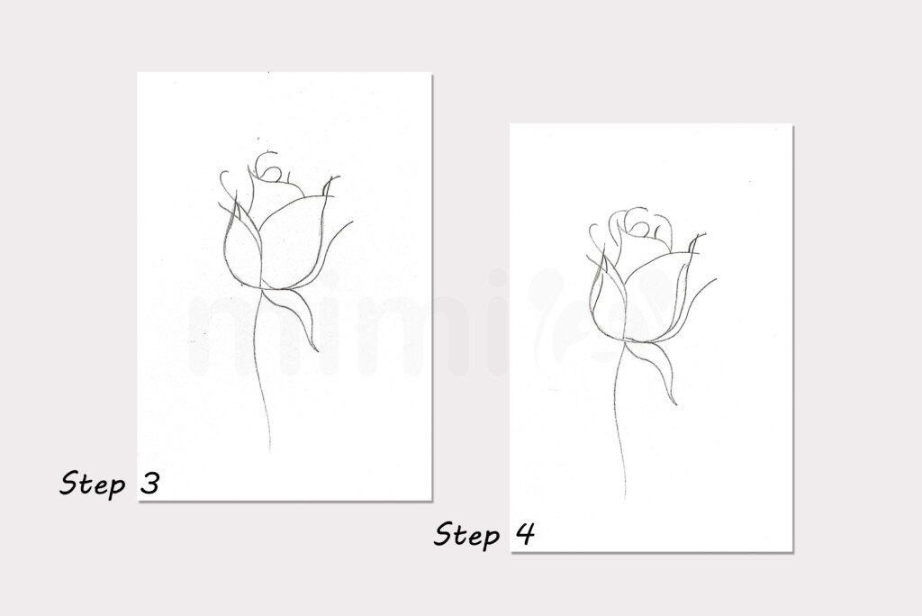 rose bud drawing black and white