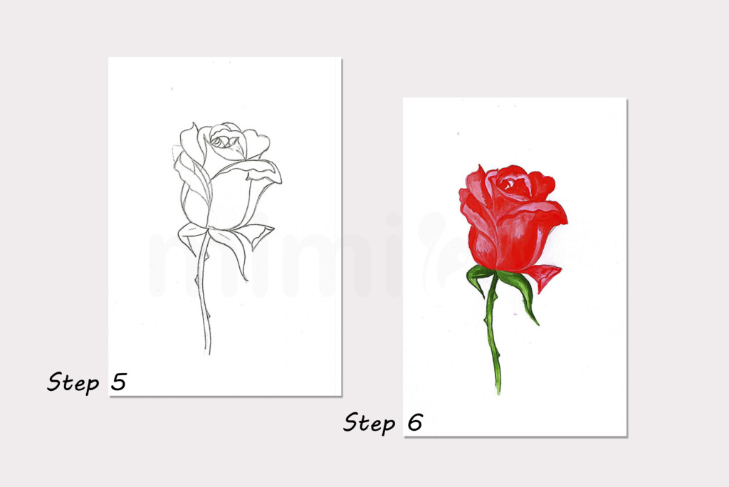 drawing bud of rose collage step 5 and 6