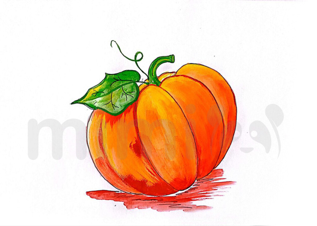pumpkin drawing realistic