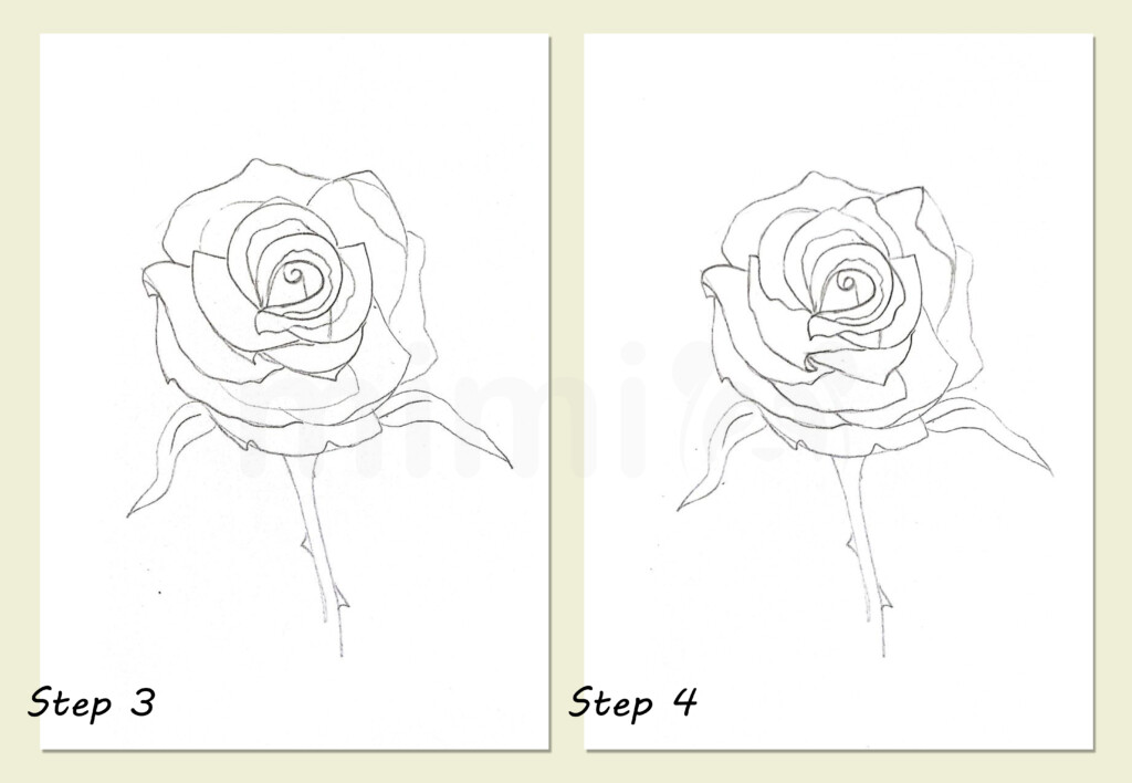 realistic drawing rose for adult collage steps 3 and 4