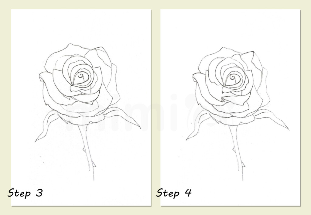 simple rose drawing step by step