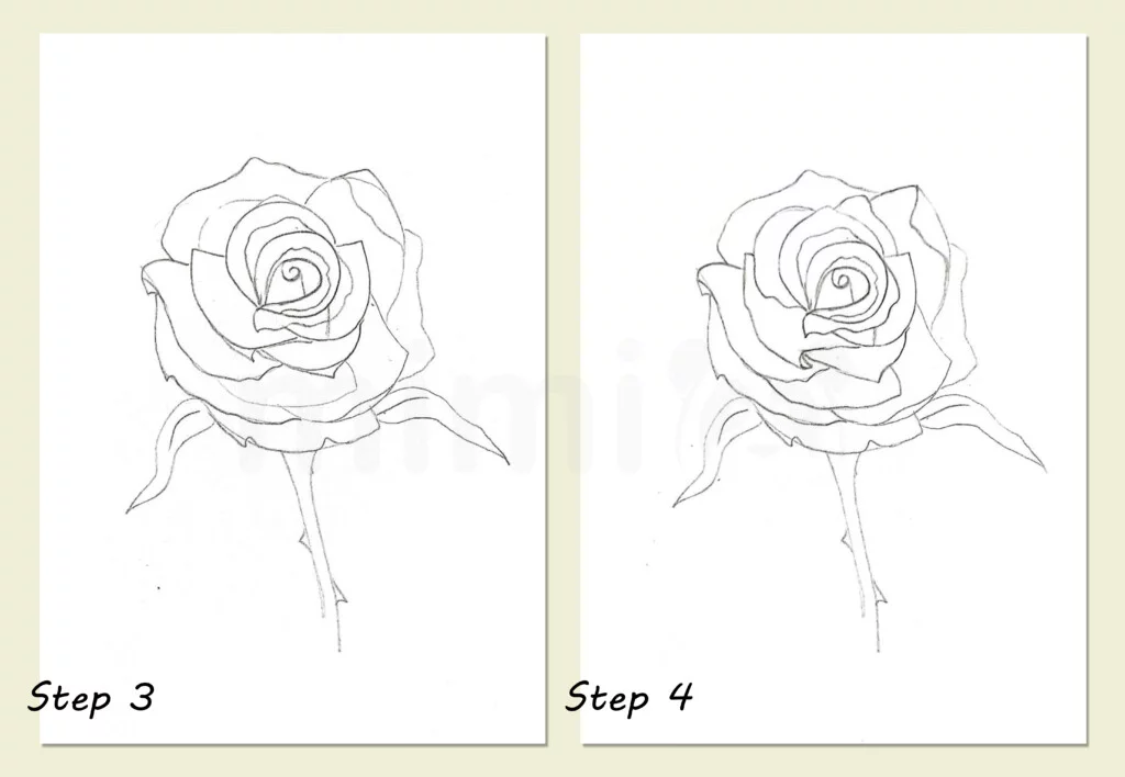 ROSE Drawing Easy 🌹| How to Draw a Rose step by step - YouTube