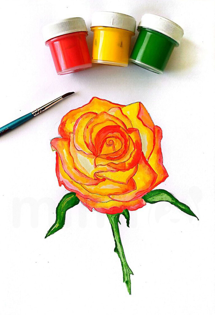 realistic rose