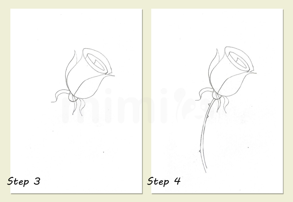 simple drawing rose collage steps 3 and 4