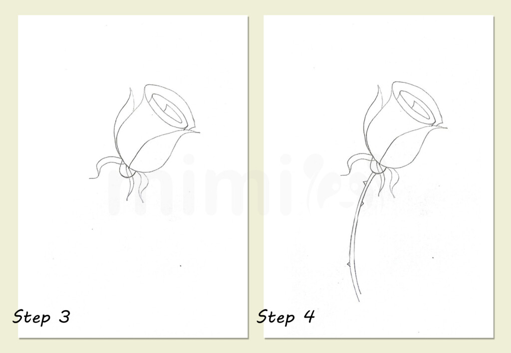 Easy Panda Drawing Guide Step by Step