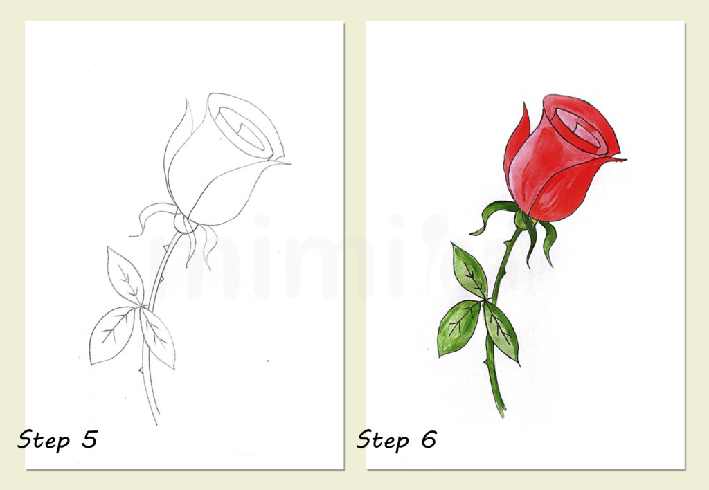 simple drawing rose collage steps 5 and 6