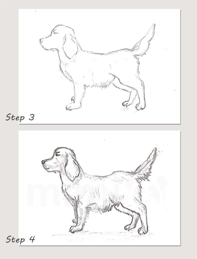 Birthday Dog Drawing - HelloArtsy
