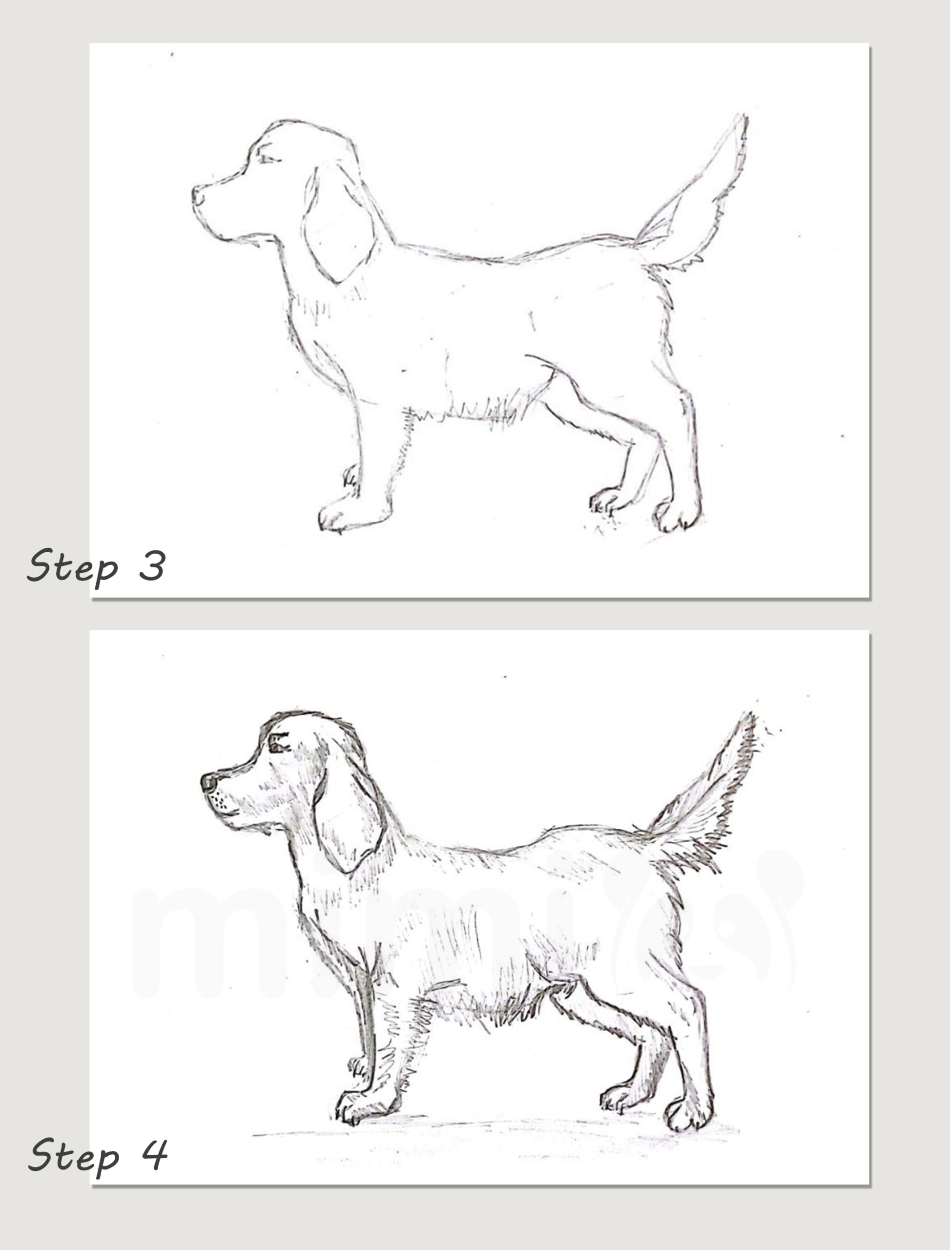 Dog Drawing: Step-by-Step Tutorial - Mimi Panda