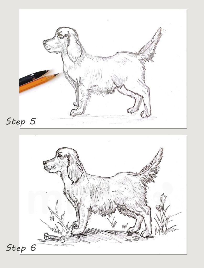 collage realistic dog drawing step 5 and 6