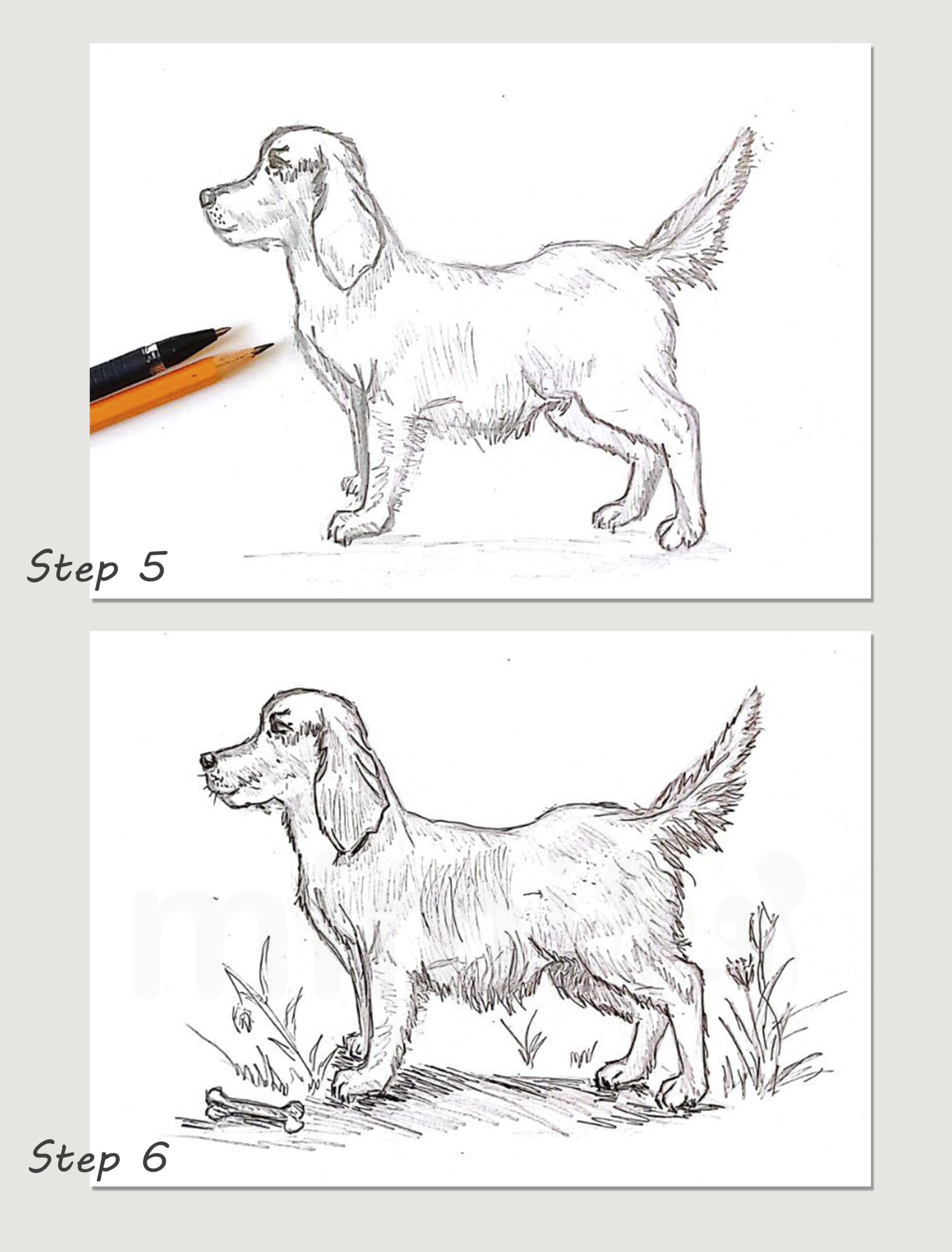 Dog Drawing: Step-by-Step Tutorial | Mimi Panda