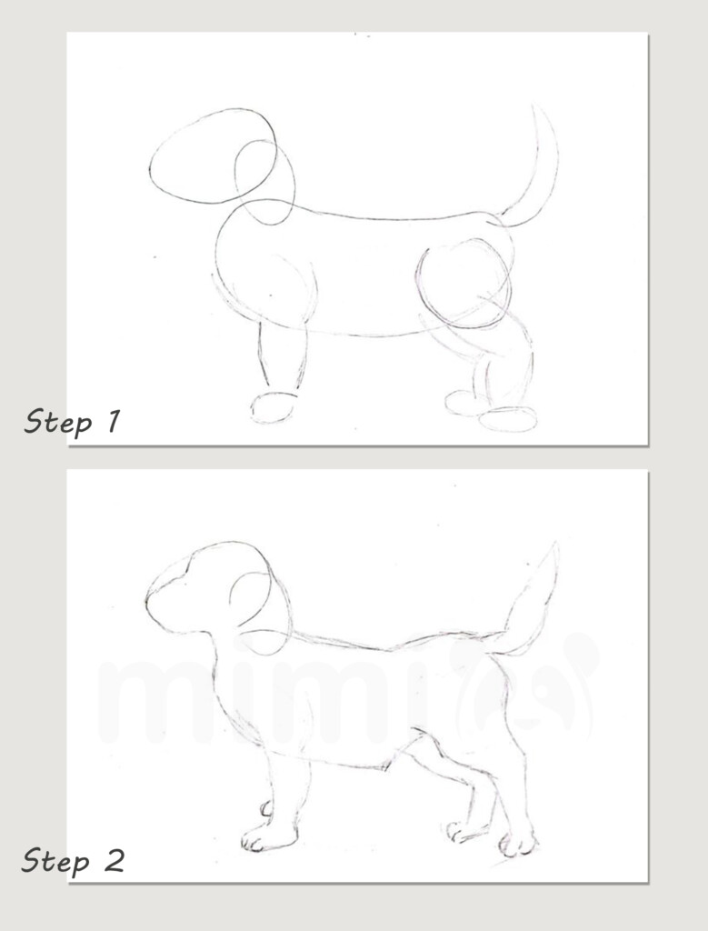 collage realistic dog drawing step 1 and 2