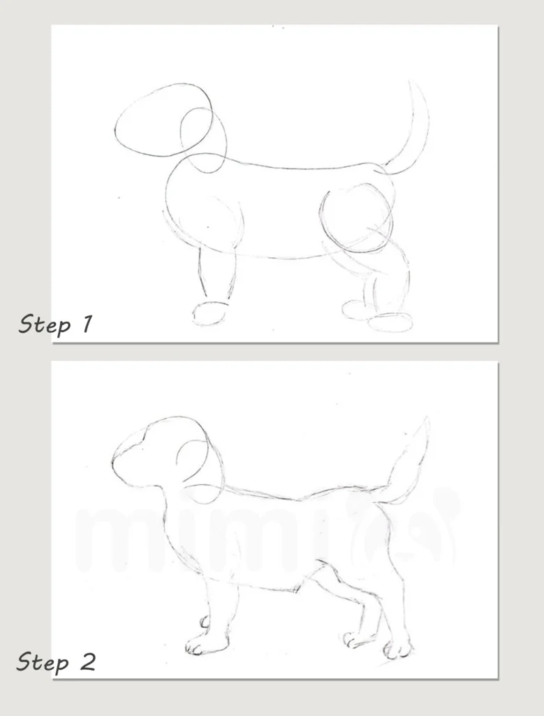 collage realistic dog drawing step 1 and 2