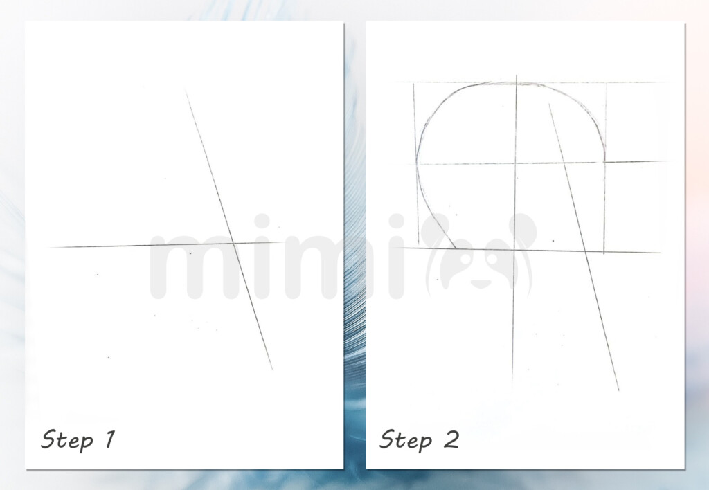 collage skull realistic step 1 and 2