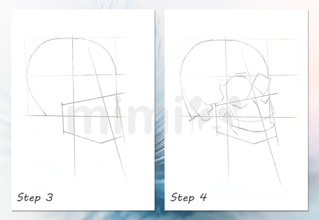 collage skull realistic step 3 and 4