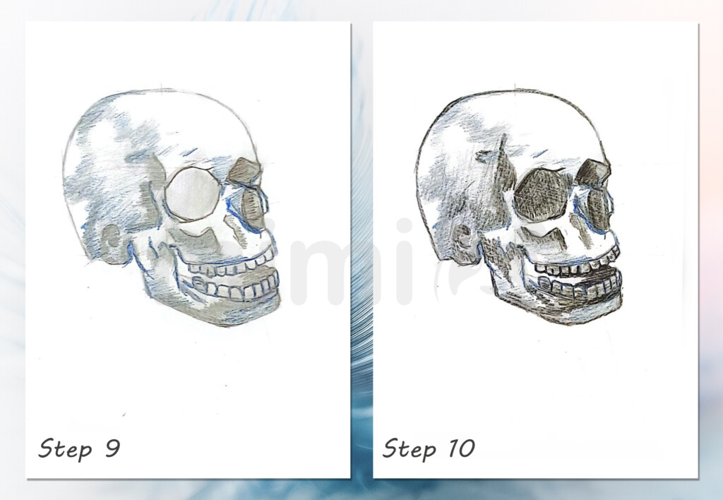 collage skull realistic step 9 and 10
