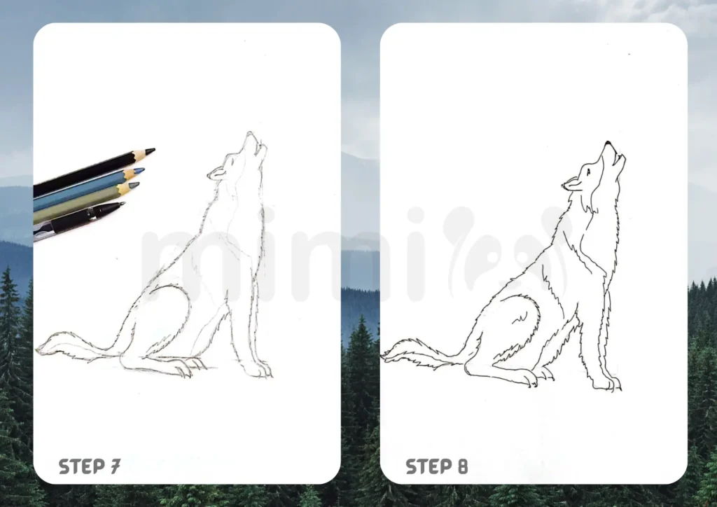 How To Draw A Realistic Wolf 7 8