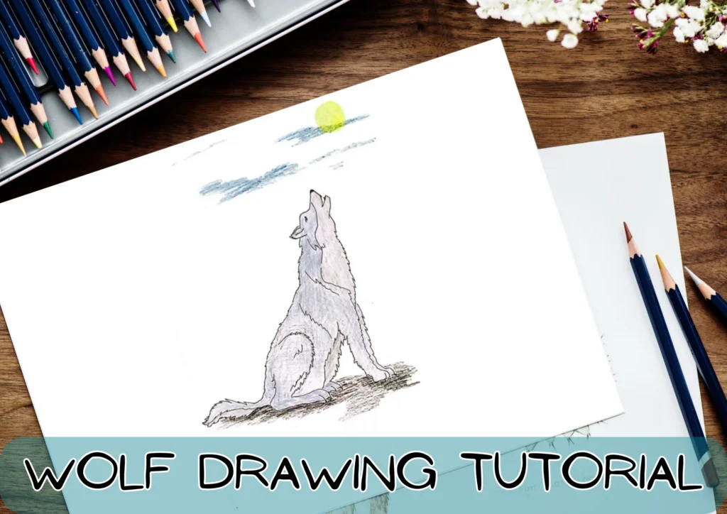 How to Draw a Realistic Panda, Draw Real Panda, Step by Step, Realistic,  Drawing Technique, FREE Online Drawing Tuto…