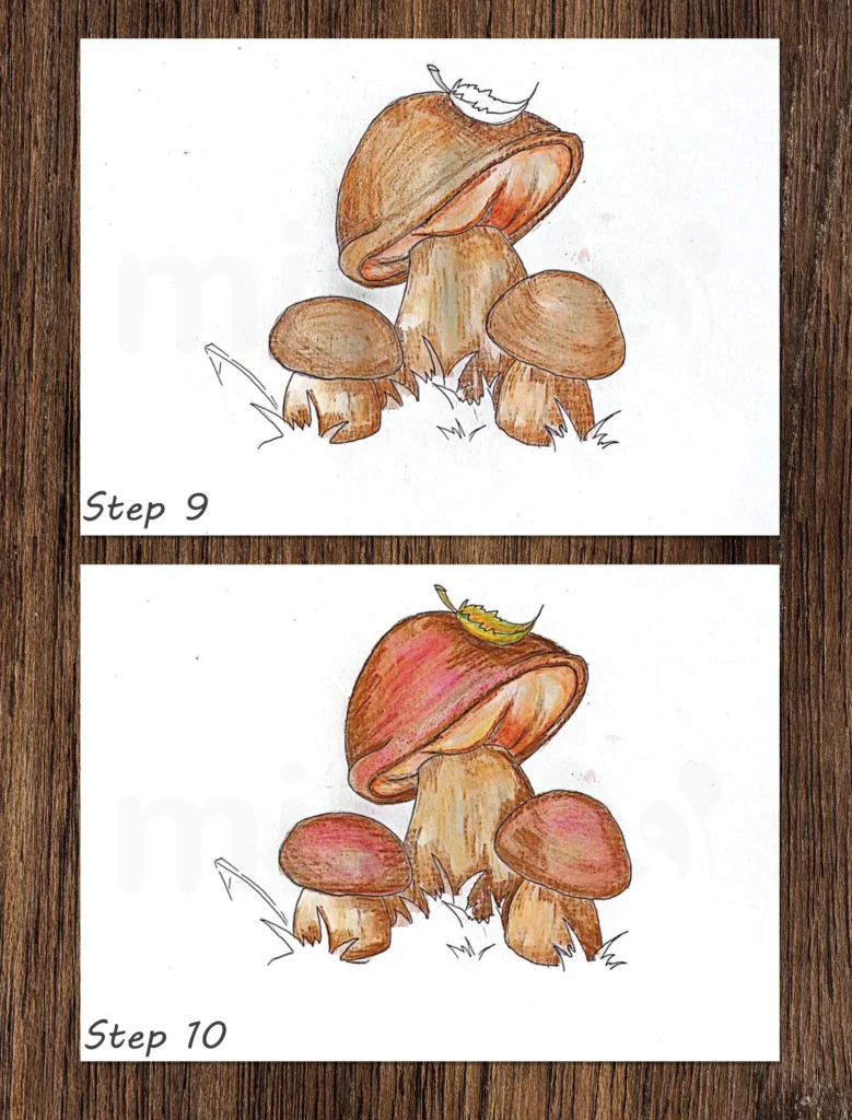 collage boletus mushroom steps 9 and 10