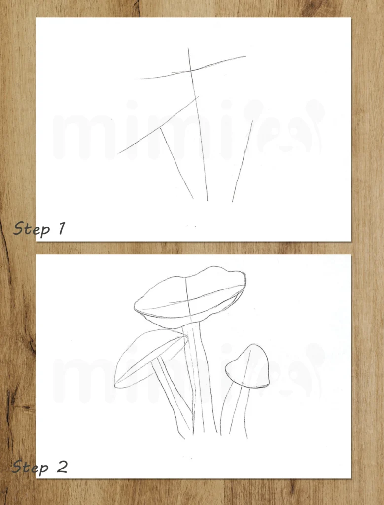 Kollage Pilz Amanita Schritte 1 und 2