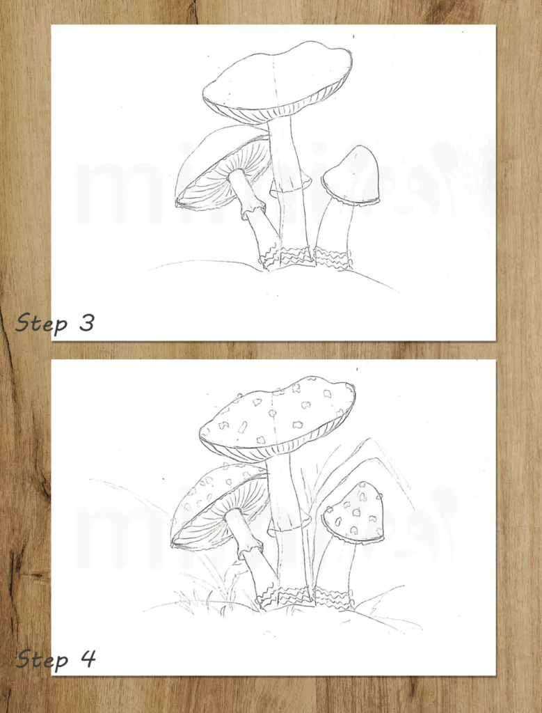 Kollage Pilz Amanita Schritte 3 und 4