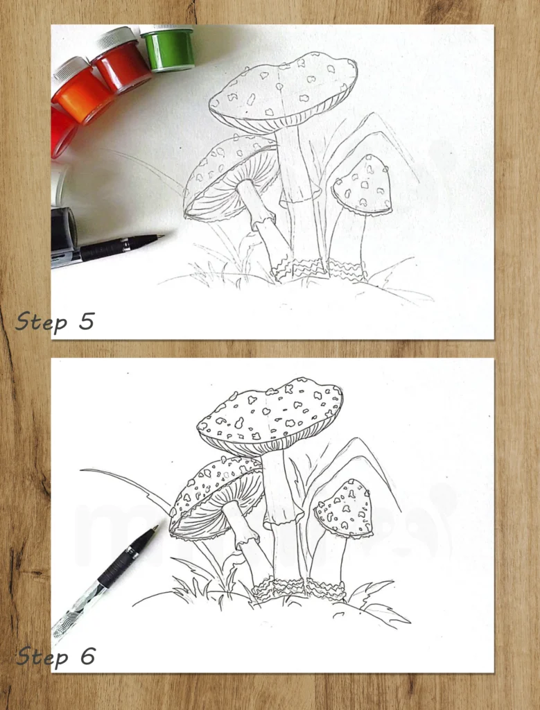 collage mushroom amanita steps 5 and 6