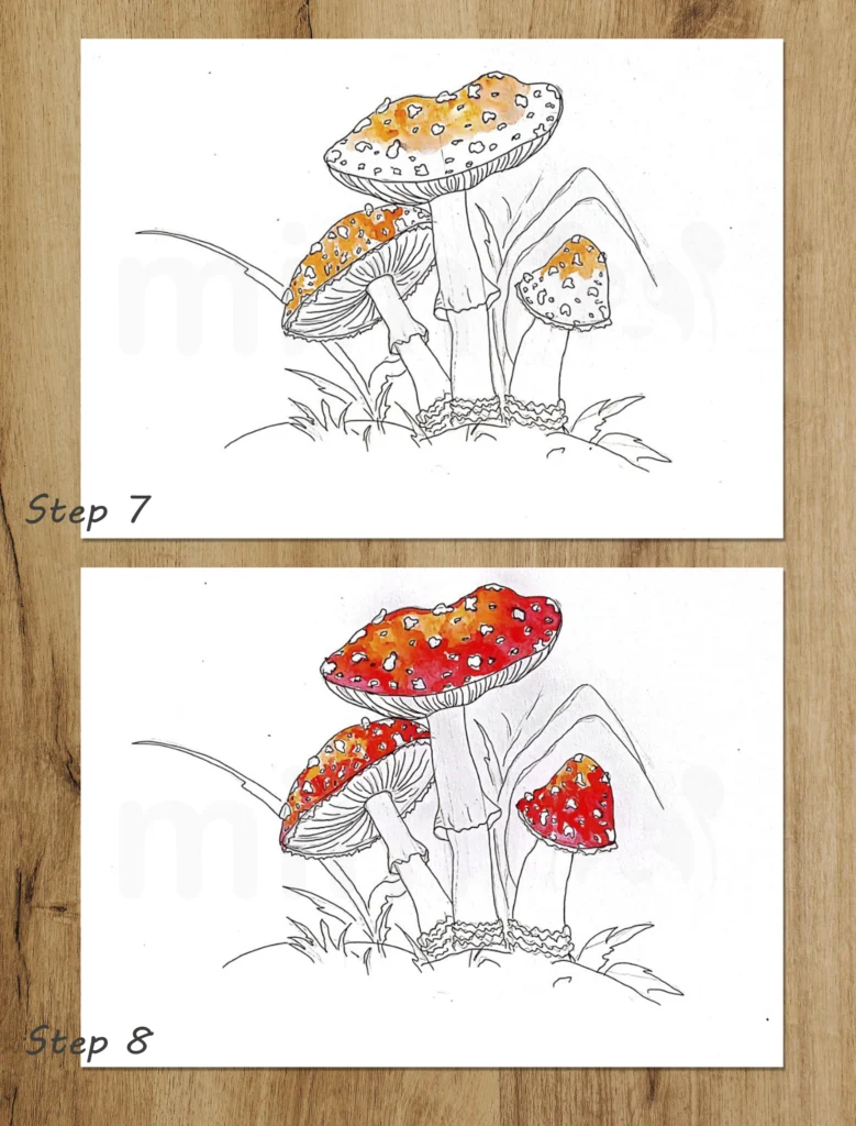 collage mushroom amanita steps 7 and 8