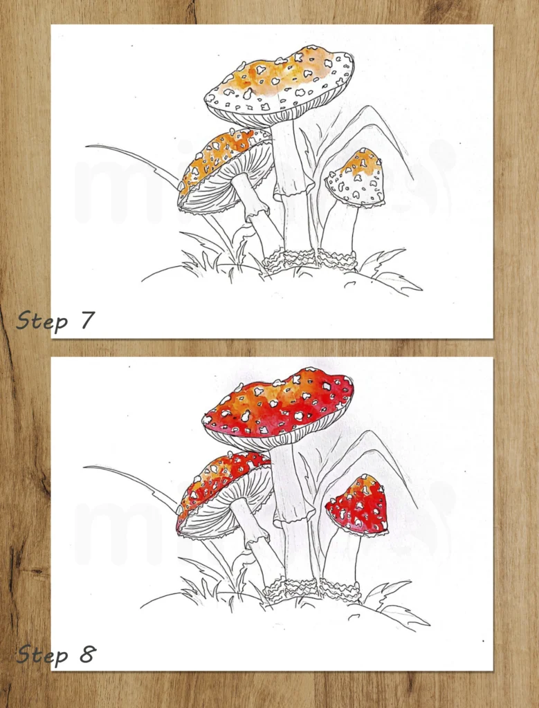 Kollage Pilz Amanita Schritte 7 und 8