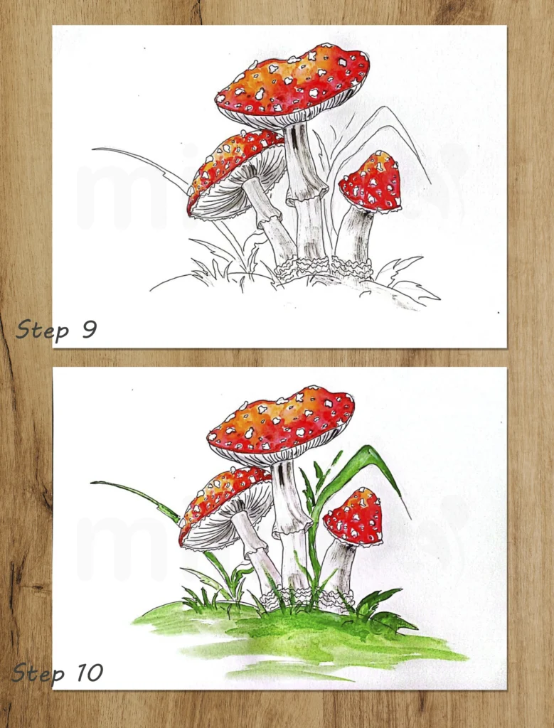 collage mushroom amanita steps 9 and 10