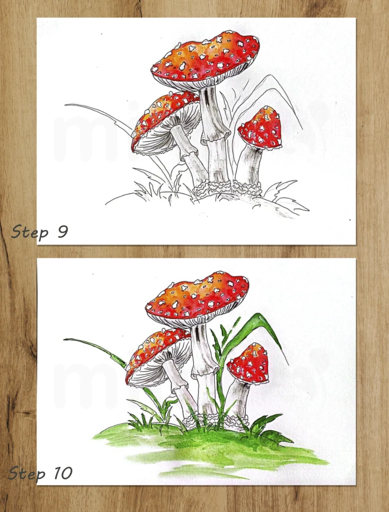 Mushroom Coloring Book For Kids Two Mushrooms Coloring Page Monochrome  Black And White Illustration Vector Childrens Illustration Stock  Illustration - Download Image Now - iStock