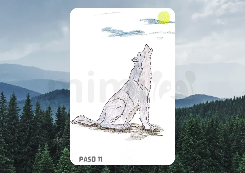 Cómo dibujar un lobo realista paso 11