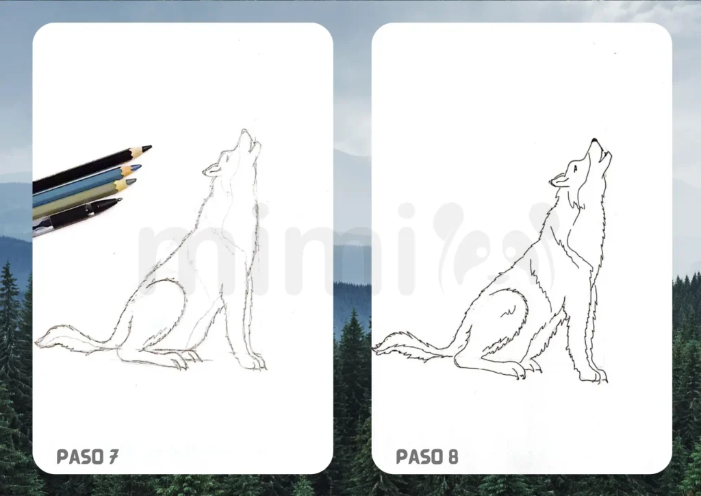 Cómo dibujar un lobo realista paso 7 8
