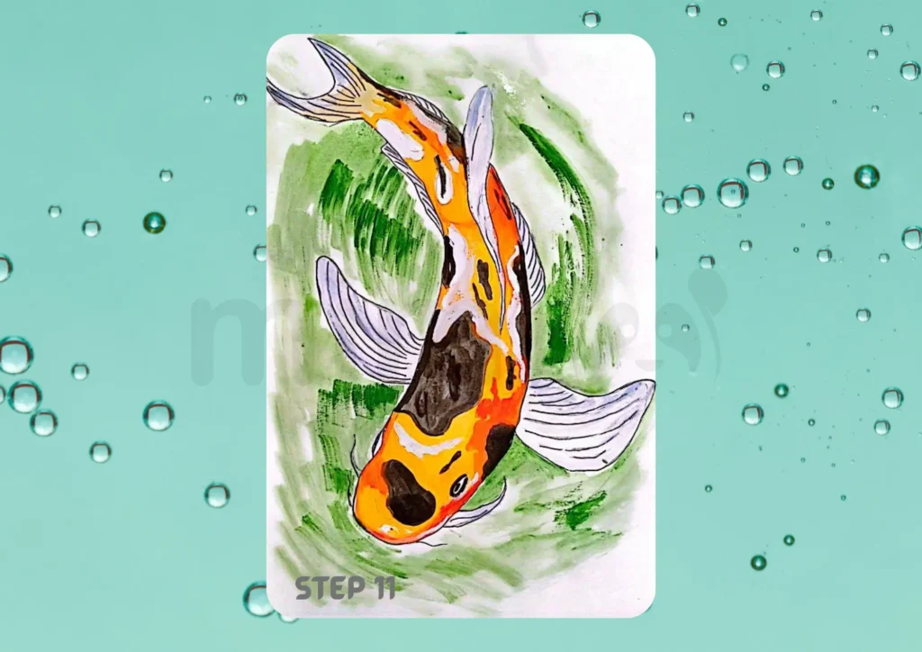 How to Draw a Koi Fish Step 11