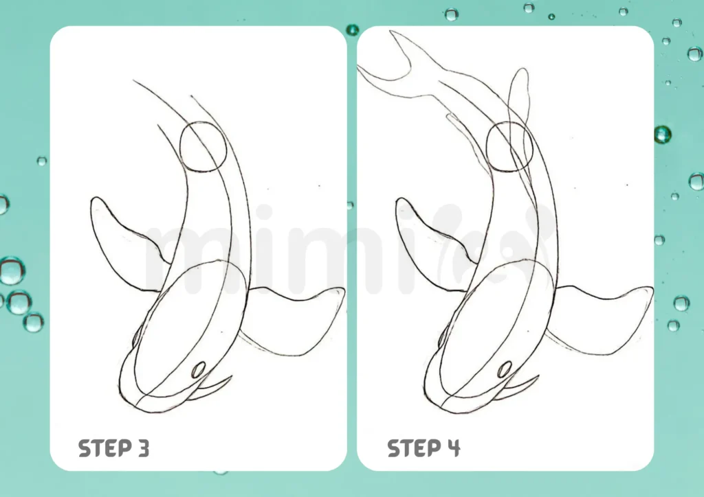 How to Draw a Koi Fish Step 3 4