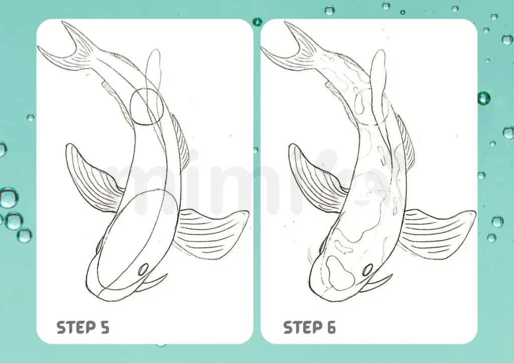 How to Draw a Koi Fish Step 5 6
