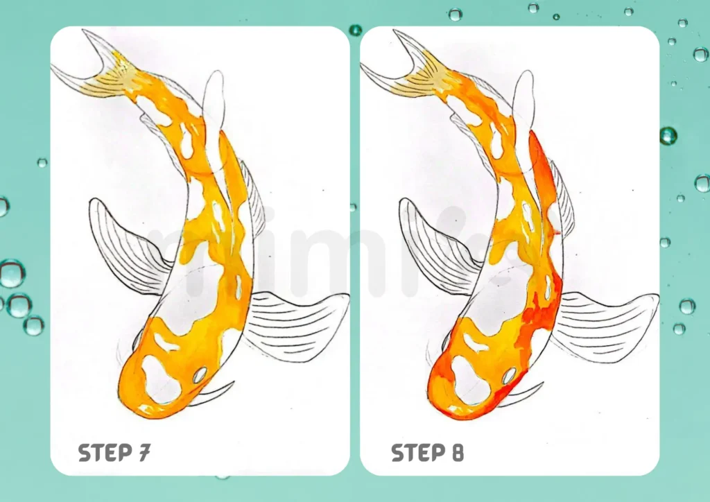 How to Draw a Koi Fish Step 7 8