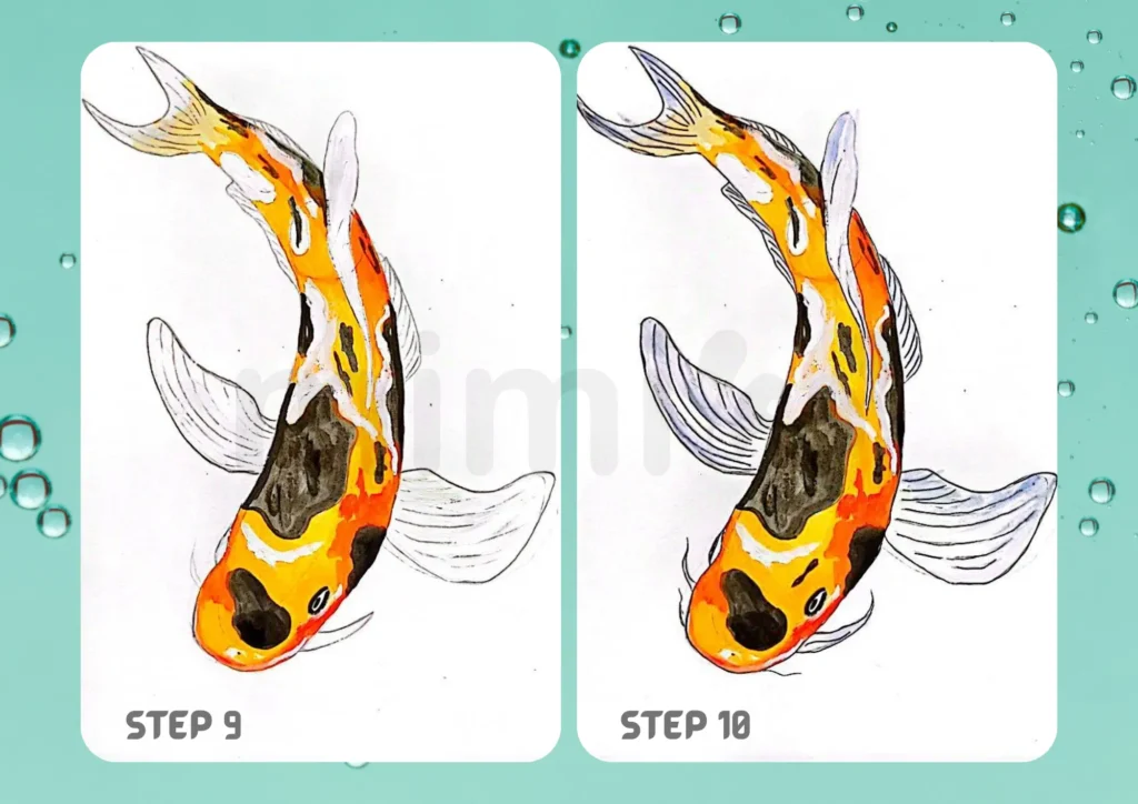 How to Draw a Koi Fish Step 9 10