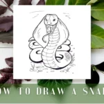 How To Draw a Snake