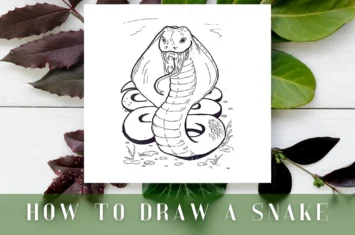 How To Draw a Snake – Step-By-Step