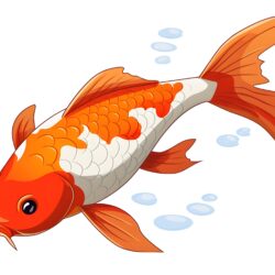 Ryby Koi Kolorowanka - Obraz pochodzenia