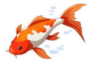 Koi Fish Coloring Pages 2Original image